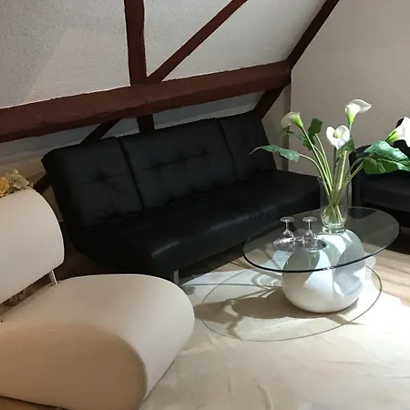 Nuernberger Hof In Altdorf Hotel 3*
