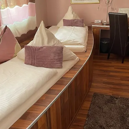 Nuernberger Hof In Altdorf 3* 纽伦堡附近阿尔特多夫