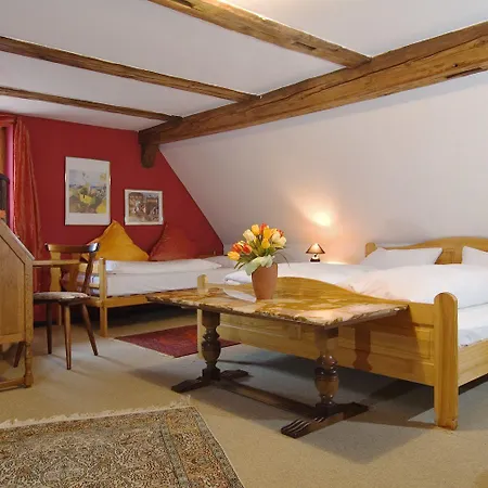 酒店 Nuernberger Hof In Altdorf