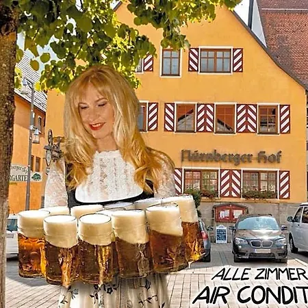 Nuernberger Hof In Altdorf 酒店 3*