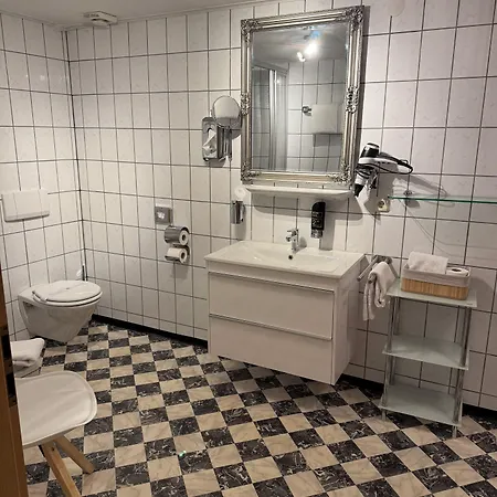 Hotel Nuernberger Hof In Altdorf 3*